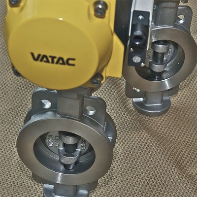 Wafer High Performance Butterfly Valve